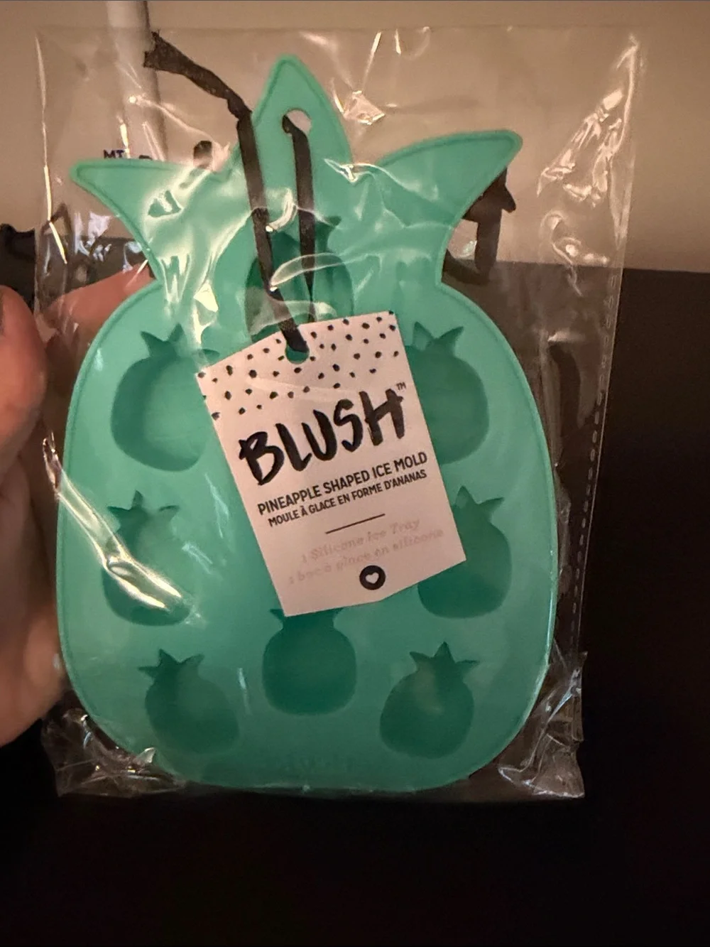 Blush Pineapple Ice Tray - Teal Silicone
